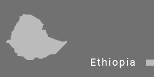 export in ethiopia