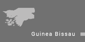 export in guinea-bissau