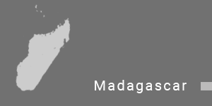 export in madagascar