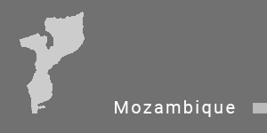 export in mozambique