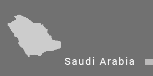 export in saudi-arabia