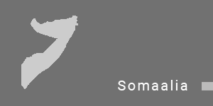 export in somaalia