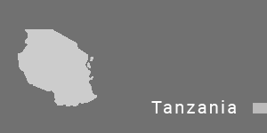 export in tanzania